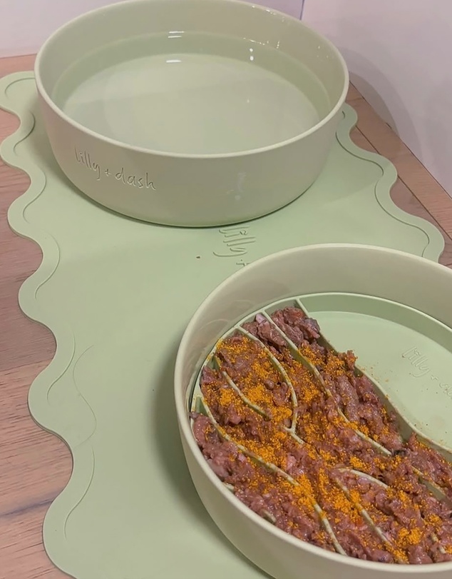 Lilly + Dash - Dog Food Water Bowl & Insert Combo