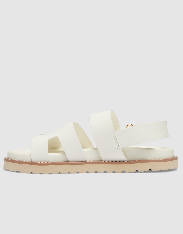 Sandler - Daisy