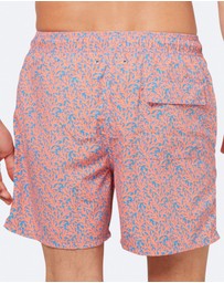 Tom & Teddy - Coral Swim Shorts