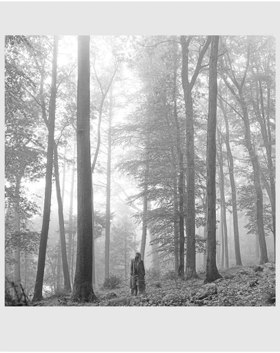 Universal Music - Taylor Swift Folklore (In The Trees Edition) - Double Vinyl Album