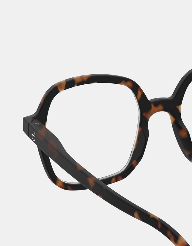 IZIPIZI - Reading Collection O Tortoise