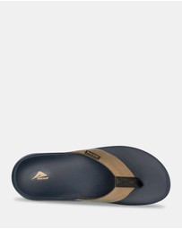 Ascent - Groove Sport
