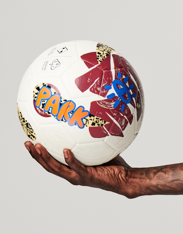 PARK - Vector Pro Training Football Ball