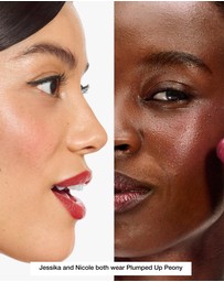 Clinique - Chubby Stick Cheek Color Balm