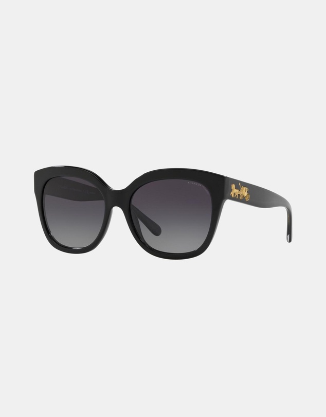 Coach - 0HC8264 L1083 Polarised