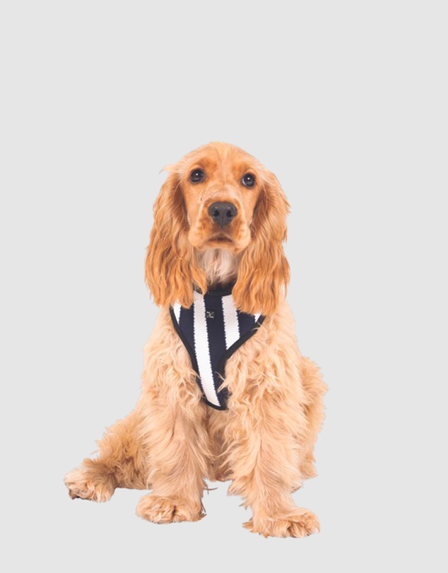 Mog & Bone - Neoprene Dog Harness - Navy Hamptons Stripe Print