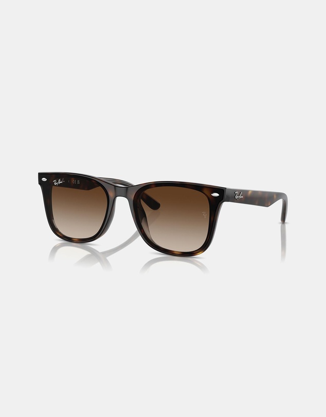 Ray-Ban - 0RB4420