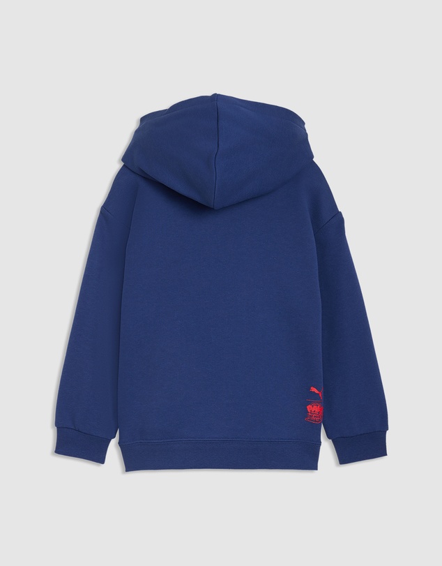 Puma - PUMA x PAW PATROL Graphic Hoodie - Kids
