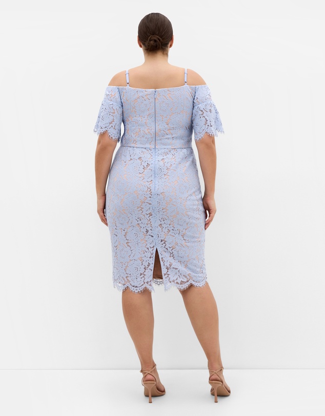 City Chic - Plus size Amelia Lace Midi Dress - powder blue