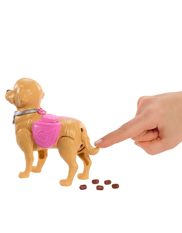 Barbie - Walk & Potty - Barbie Malibu