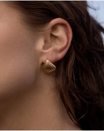 Native Sol - Tanah Shell Earrings