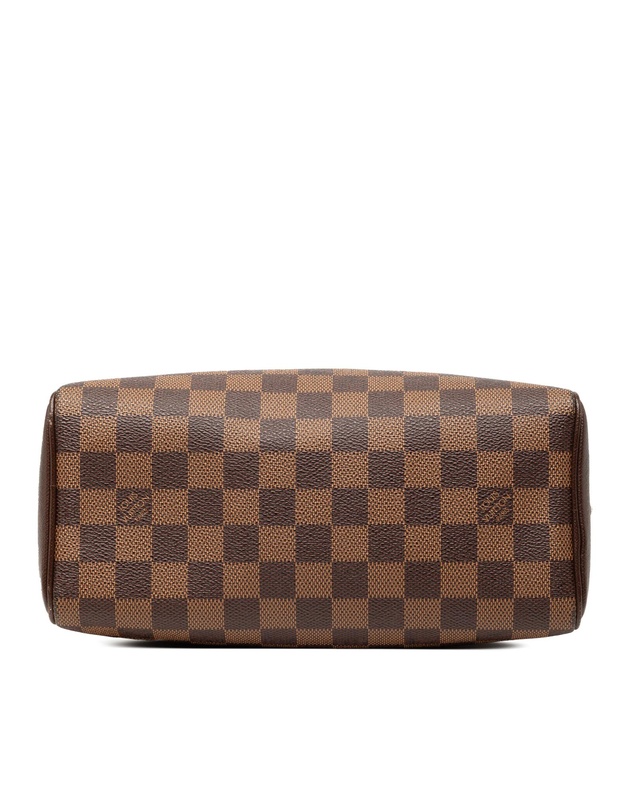 Pre-Loved by Azura Reborn - Pre-Loved Damier Ebene Brera