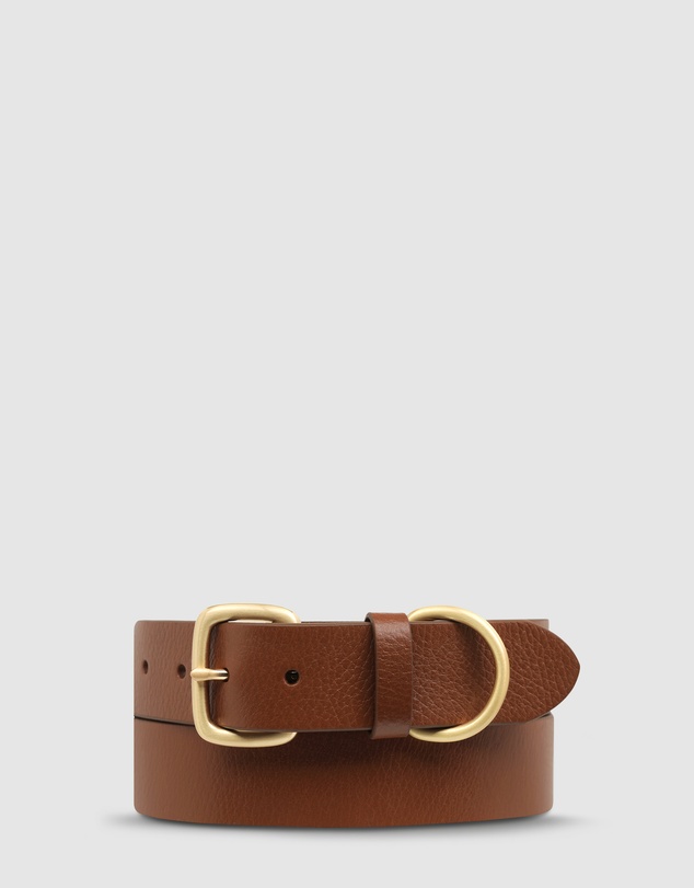 Status Anxiety - Disarm Belt