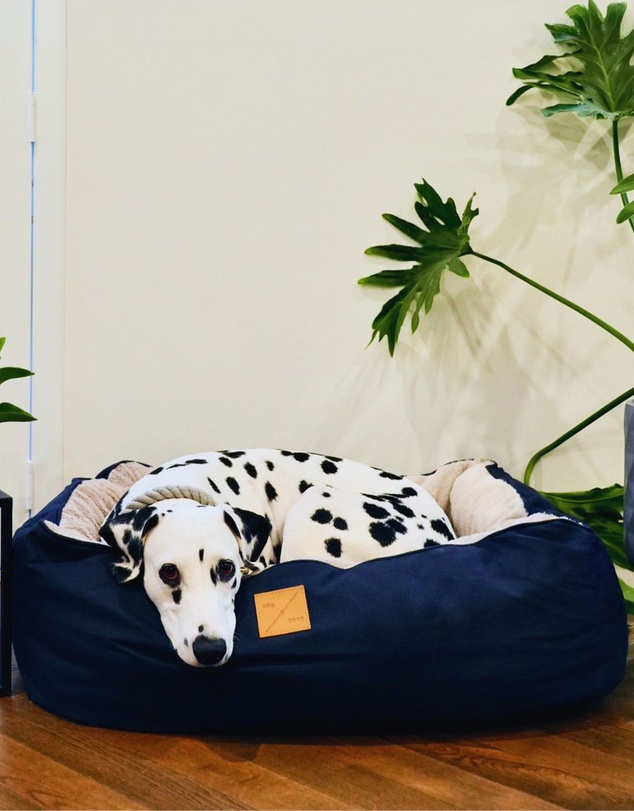 Mog & Bone - 4 Seasons Reversible Circular Dog Bed - Navy