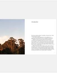 Brumby Sunstate - Wild by Design