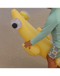 Sunnylife - Kids Inflatable Noodle Finn the Fish Multi Set of 2