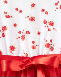 Designer Kidz - Alyssa Floral S/S Tutu Dress