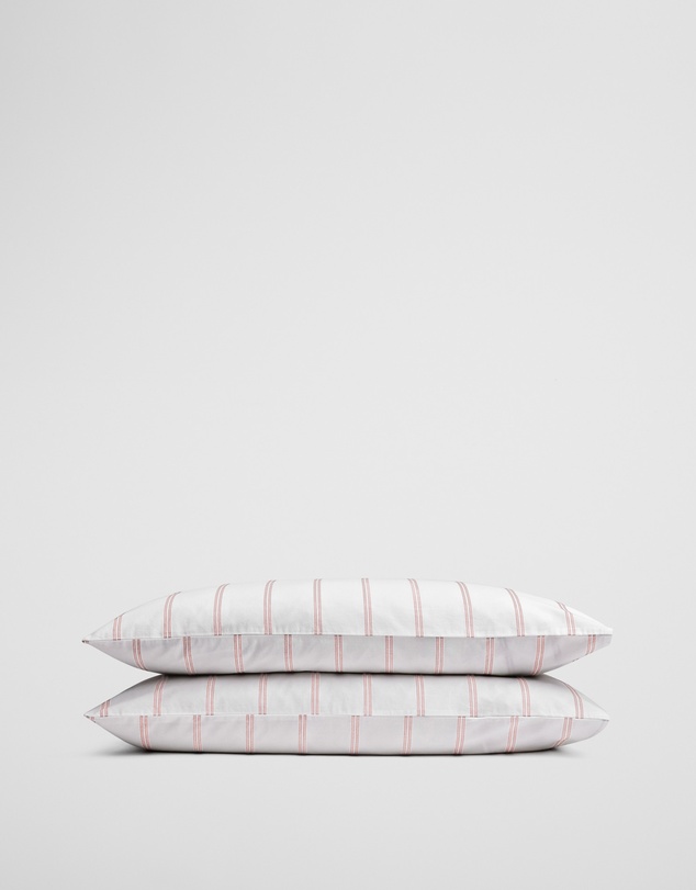 Country Road - Goldie Australian Cotton Standard Pillowcase Pair