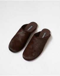 Senso - Caelan