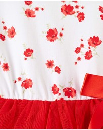 Designer Kidz - Alyssa Floral S/S Tutu Romper
