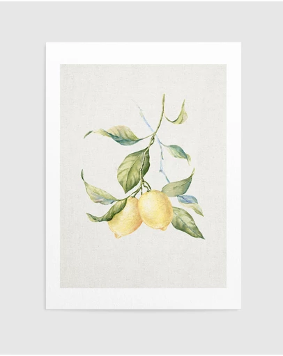Olive et Oriel - Lemon on Linen III Art Print