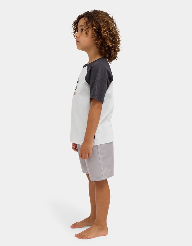 Billabong - Boys 2 to 7 Groms Spec 73 Raglan T-Shirt