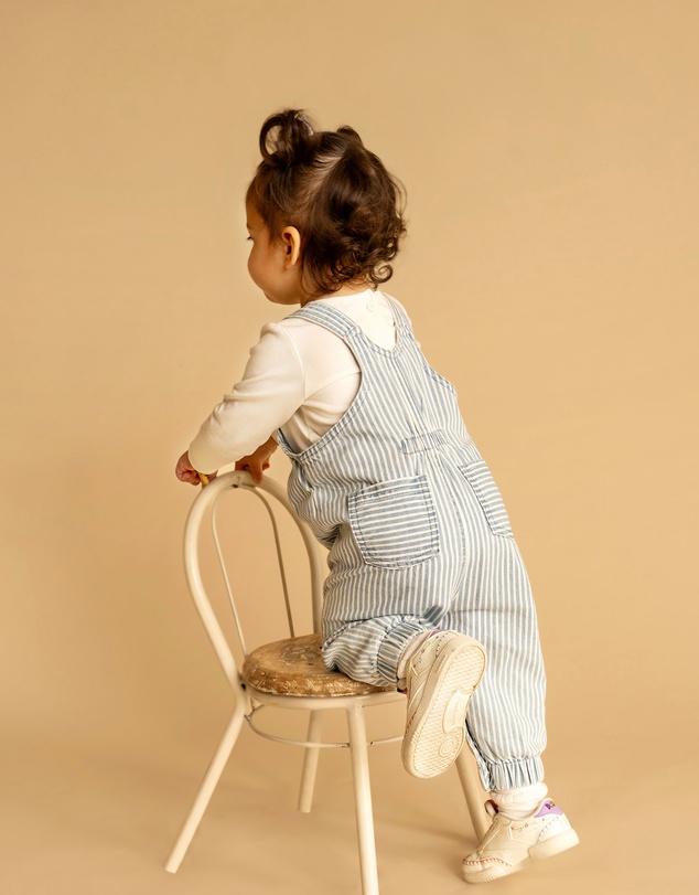 Fox & Finch - Winter Vacay Stripe Denim Overalls