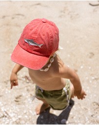 Pallion Point - Kids Tiger Shark Fish Lid
