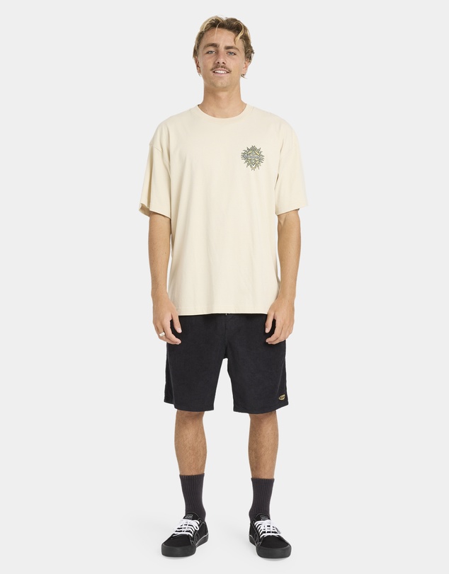 Billabong - Mens Solar Flare T-Shirt