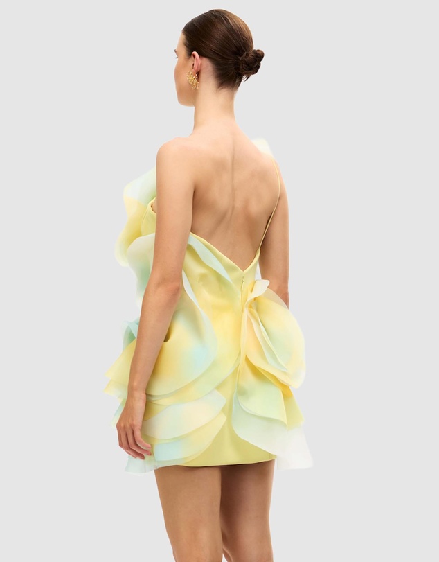 Acler - Cotwall Mini Dress