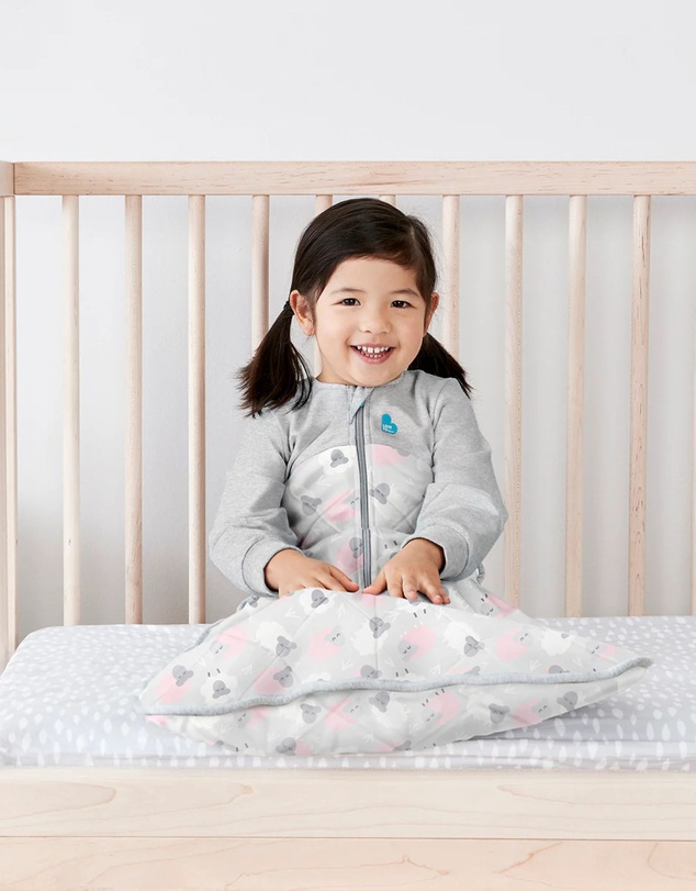Love to Dream - Sleep Bag 2.5 TOG Organic Wool in Pink