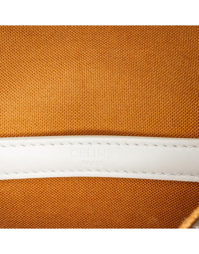 Pre-Loved by Azura Reborn - Pre-Loved Medium Triomphe Coated Canvas Folco Crossbody