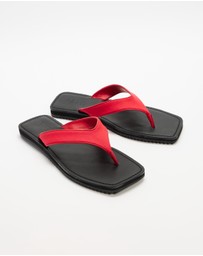 Dazie - Claudia Thongs
