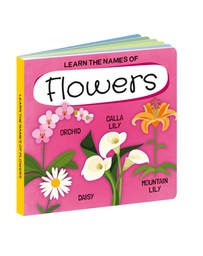 Sassi - Learn all about The Flowers 3D Puzzle and Book Set 40 Pieces