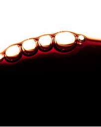 Gracious Minds - Superlative Vitamin C Antioxidant Concentrate
