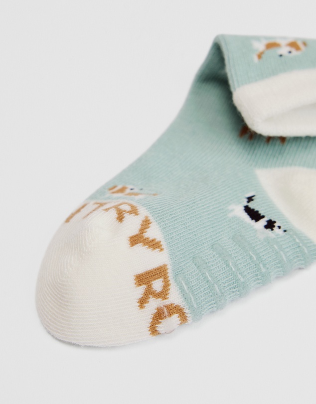 Country Road - Dog Sock