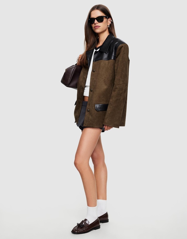 Lioness - Constance Blazer