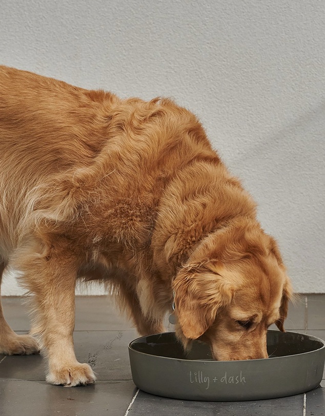 Lilly + Dash - 7L Outdoor Ceramic Dog Water Bowl