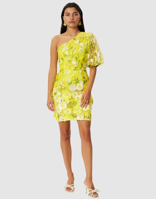 Honey and Beau - Enchanted Garden One Sleeve Dress