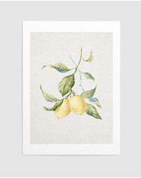 Olive et Oriel - Lemon on Linen III Art Print