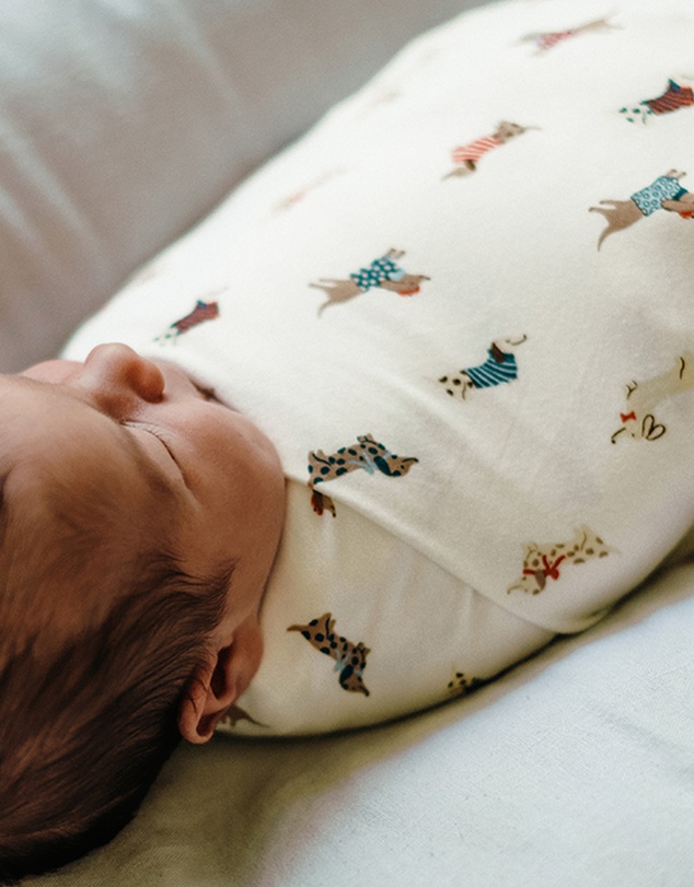 Kynd Baby - Large Stretchy Swaddle in Dachshund