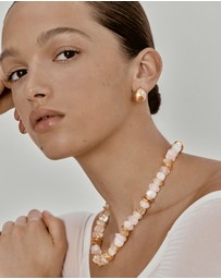 Amber Sceats - Pine Earrings