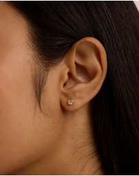 Ted Baker - Sinee Mini Crystal Stud Earrings