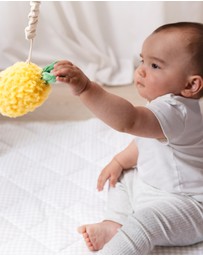 Living Textiles - 2 Pack Mini Market Brunch Stroller Toys - Pineapple & Cherries