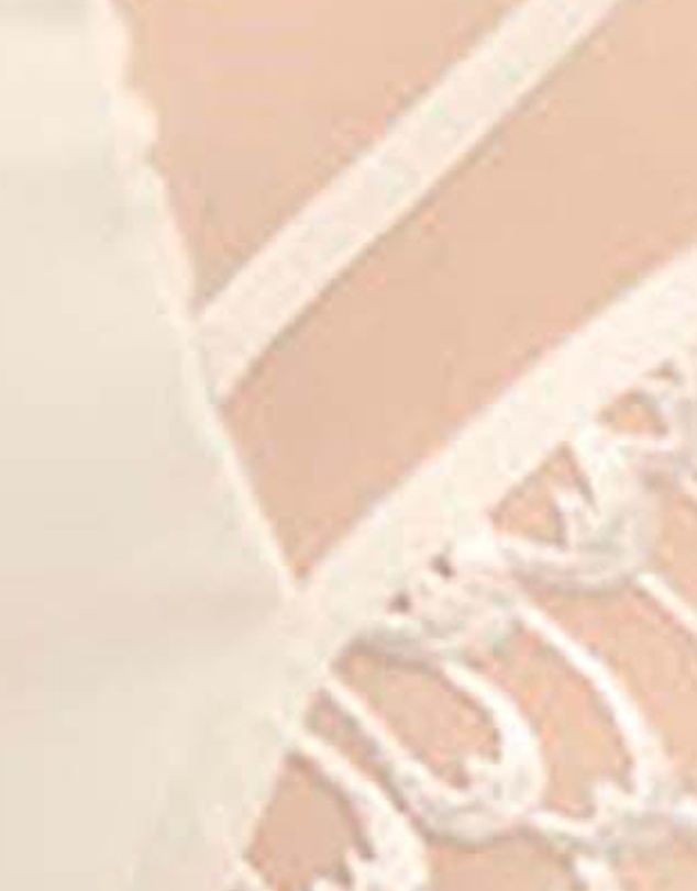Sans Complexe - Narcisse Plus Size High Waist Shaping Brief