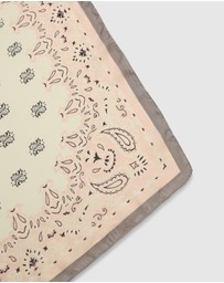 Belle & Bloom - Jolene Fashion Scarf - Pink/Grey