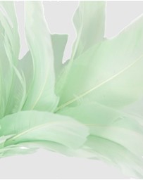 Max Alexander - Modern Mint Green Racing Fascinator