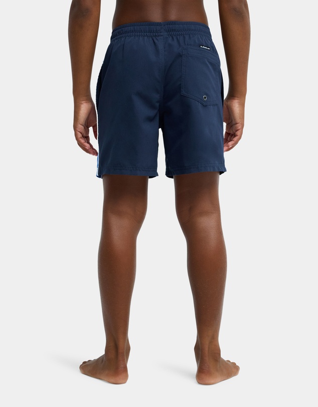 Quiksilver - Boys 8 to 16 Everyday Cliker 15