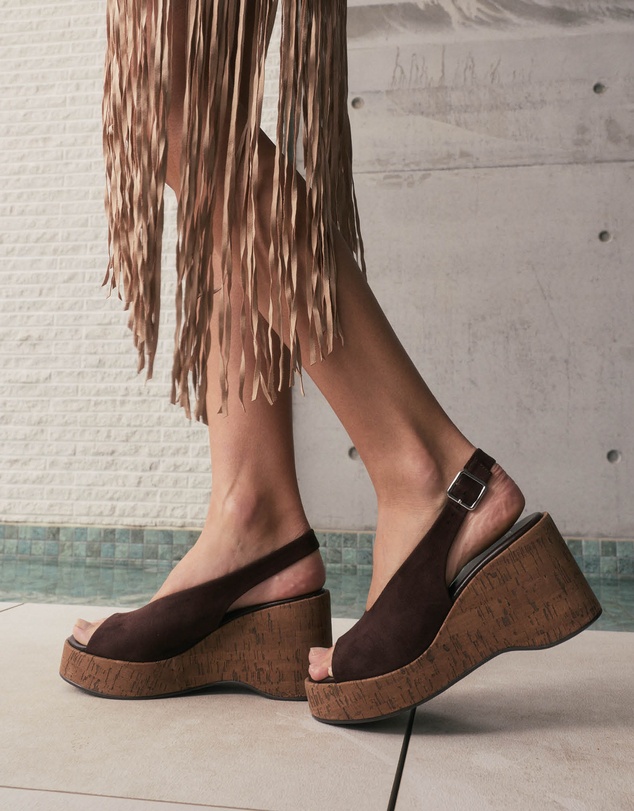 Novo - Belief Wedges