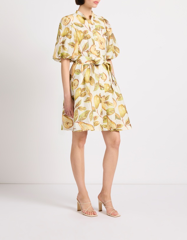 Marcs - Pear-suasion Dress